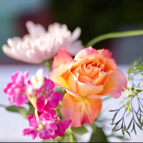 Meet your Posher, Kim - Picture 6 of 10